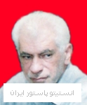علی محمدی فر